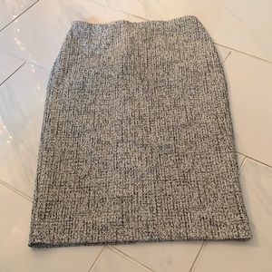 Express Pencil Skirt